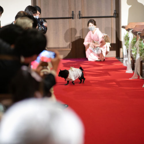 温かな笑顔と溢れ出す想い オシャレなペットWedding